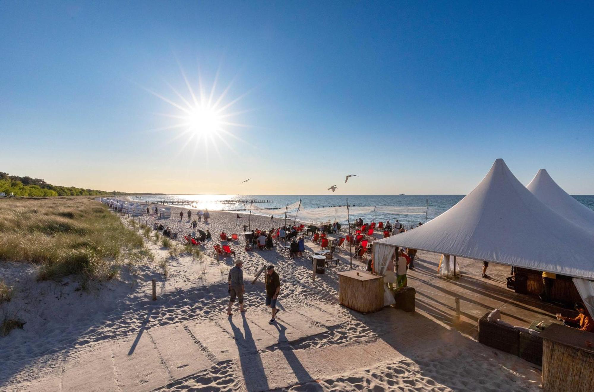 Krosse Krabbe An Der Seebruecke Zingst Ngoại thất bức ảnh